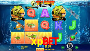 xpbet.com
