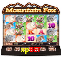 xpbet.com